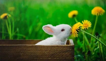 会所定义